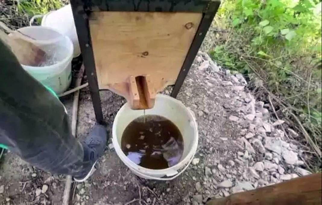 Anadolu'nun mucizesi: Doğal enerji kaynağı! Doğal beslenme akımının yeni yıldızı: Dut pekmezi 2